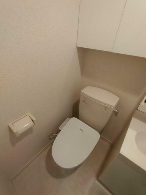 グローコート１ その他7