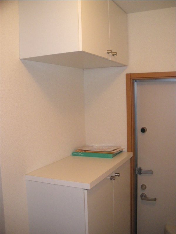 ハレレア小林 その他6