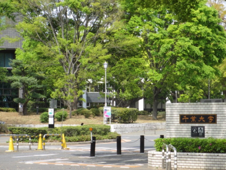 ミリアビタ№37 周辺画像8