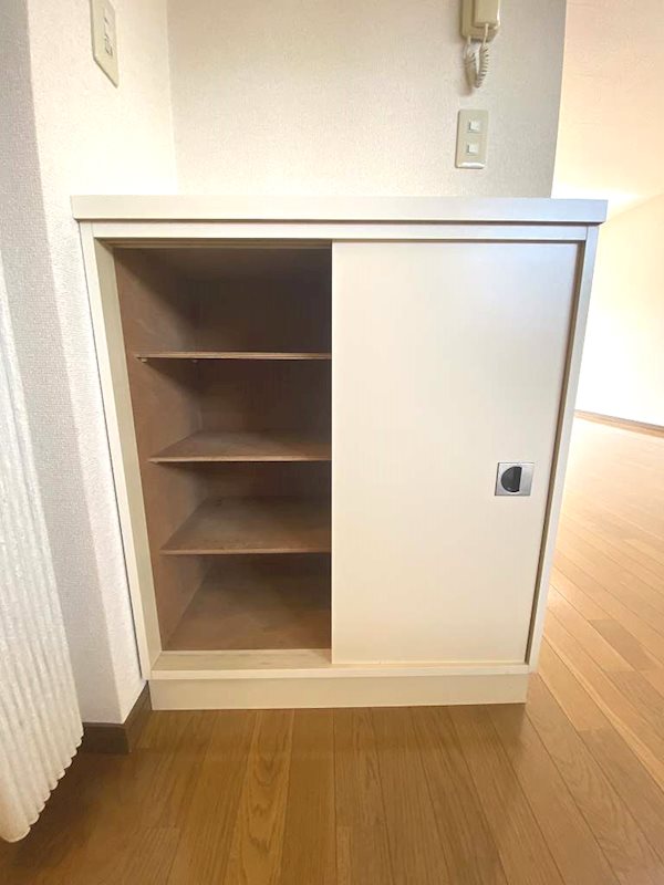 リーエイパレス 玄関