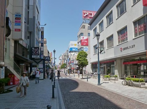 フェニックス湘南 周辺画像1