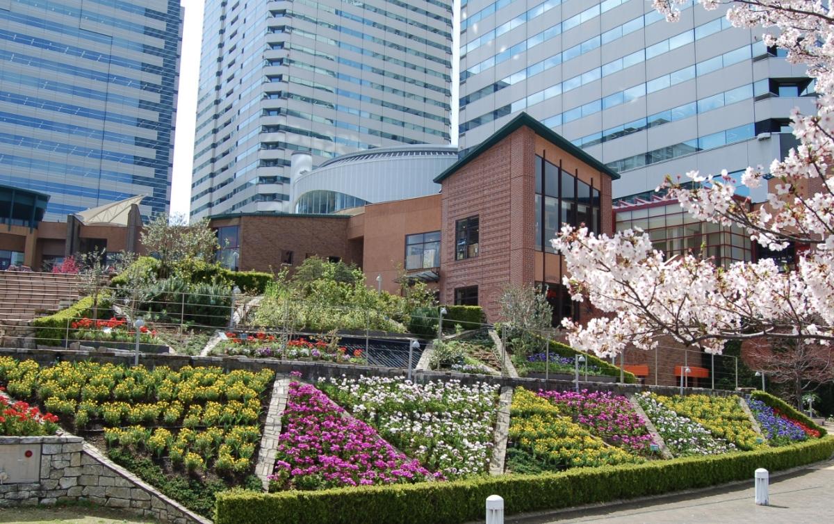 CASA KACHIDOKI 周辺画像6