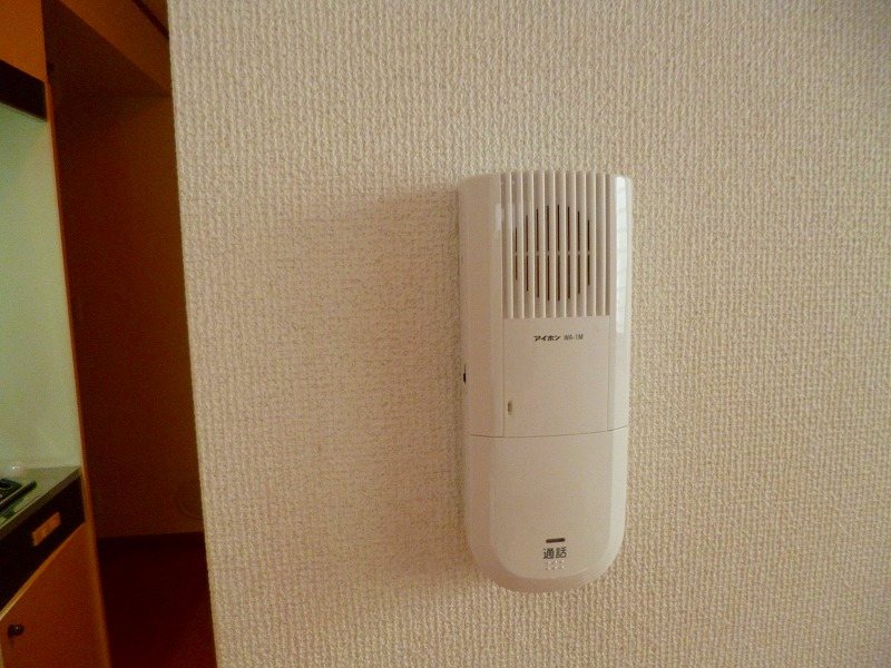 ハレレア小林 その他1