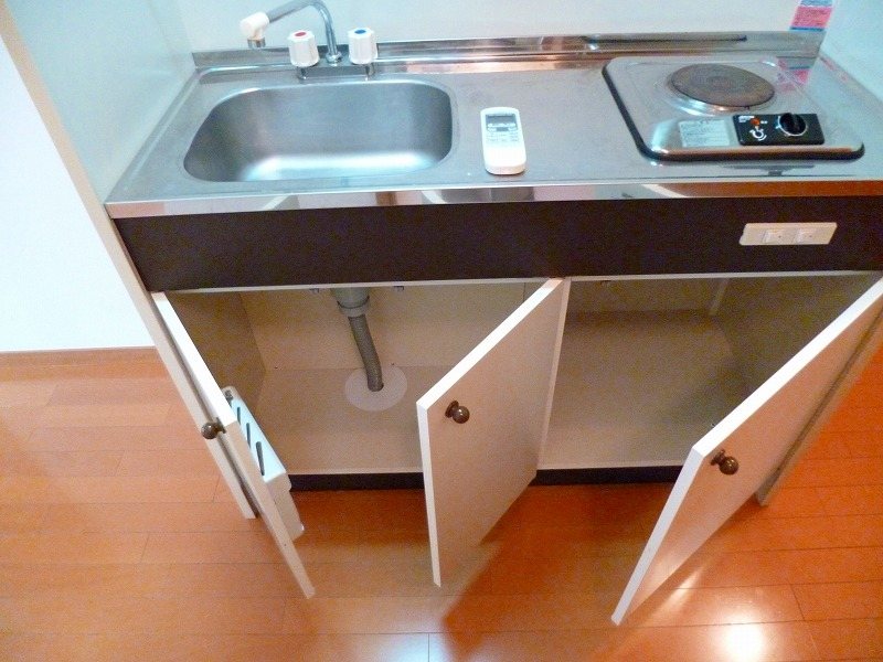 ハレレア小林 その他3