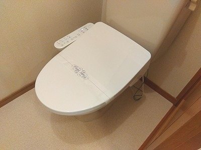 ハレレア小林 その他3