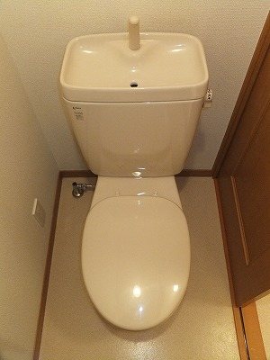 ハレレア小林 その他5