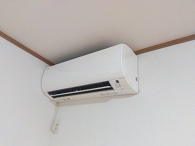 ハレレア小林 その他8