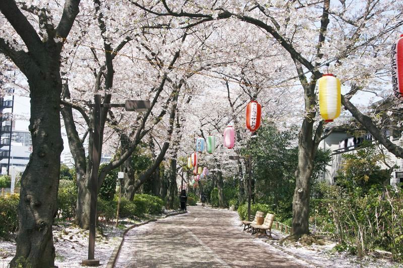 ブランシエスタ東陽町 周辺画像6