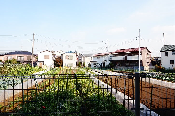 その他7