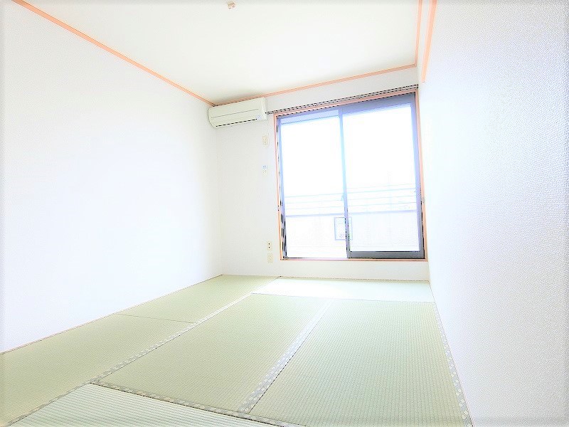 パセーラ１２ その他8