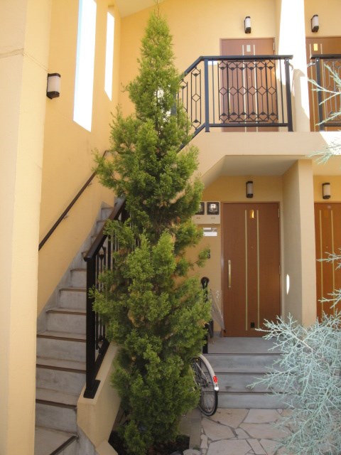 オーガスタ杉並  その他11