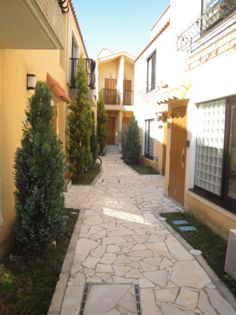 オーガスタ杉並  その他12