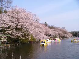 シティテラス吉祥寺南ノース 周辺画像6