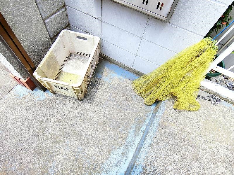 その他5