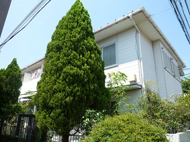 クレスト久我山　 外観