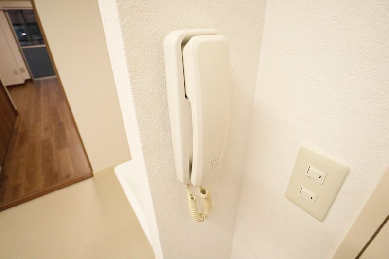 パインフラット その他4
