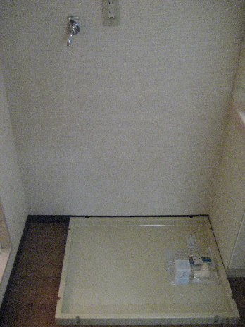 パレスジョージタウン その他4