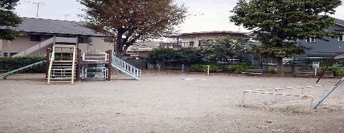 千代田マンション浜田山 周辺画像5