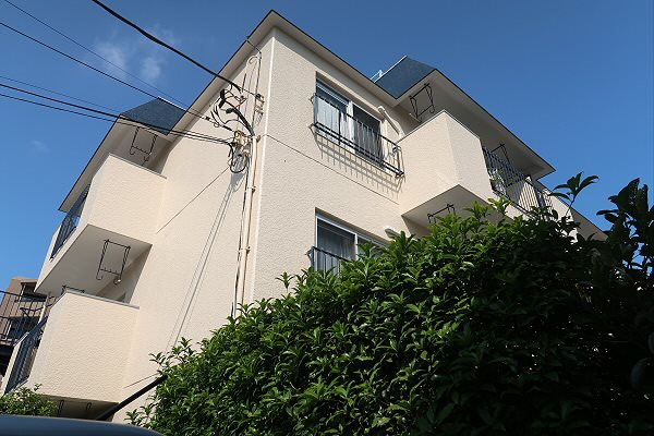 その他11
