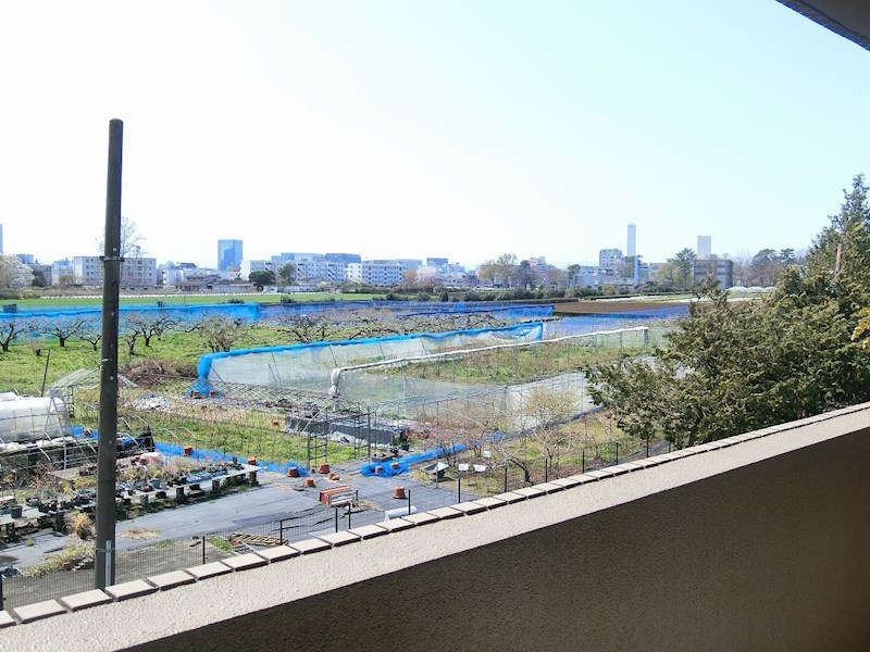 パレススメールＡ その他7