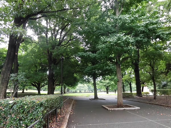 FRAGRANCE SENGAWA -当店専任物件- 周辺画像6