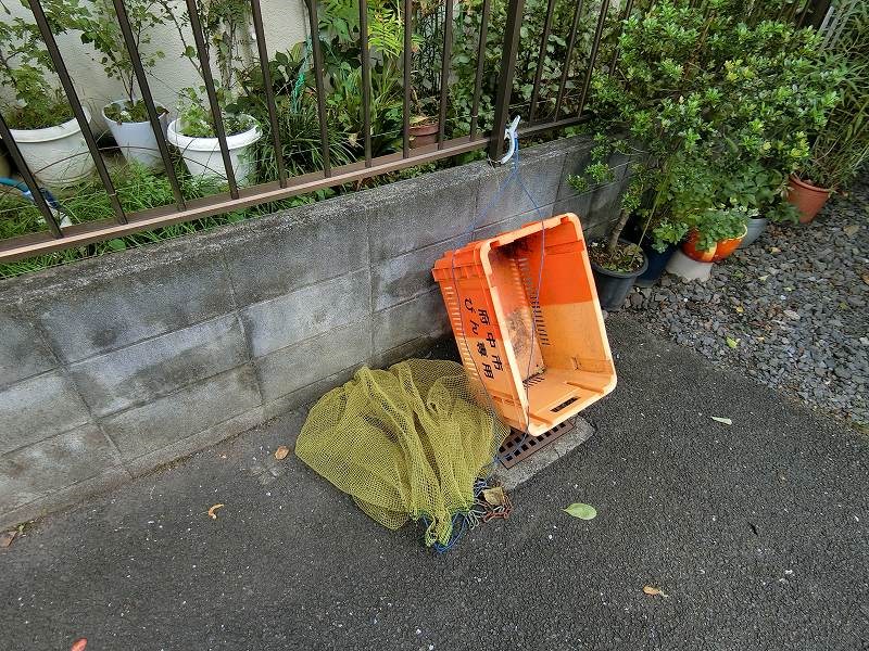 その他1