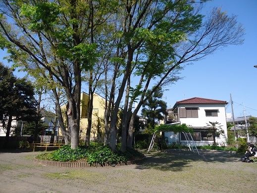 ナチュール浜田山 周辺画像5