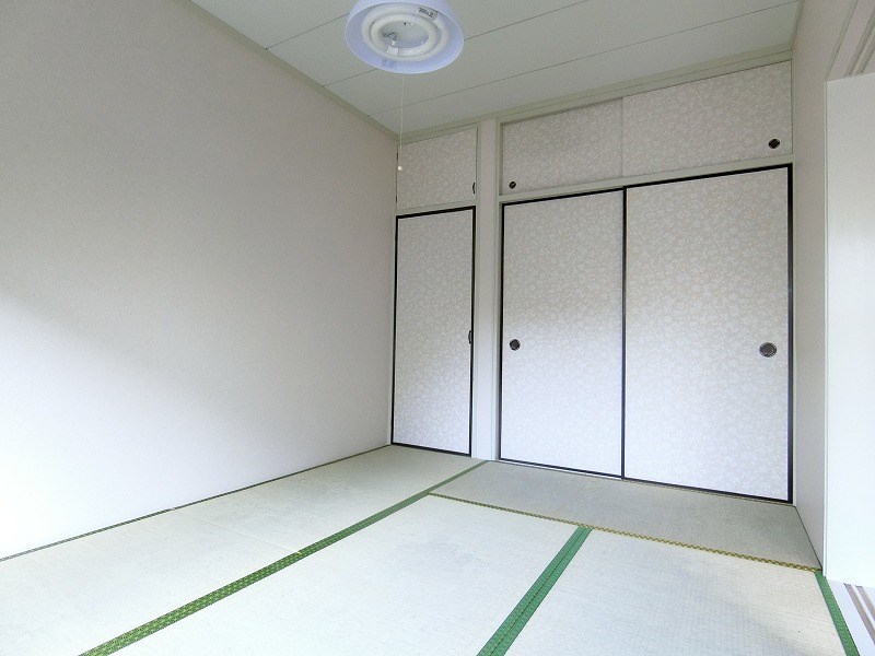 その他29