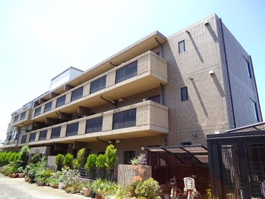 その他7
