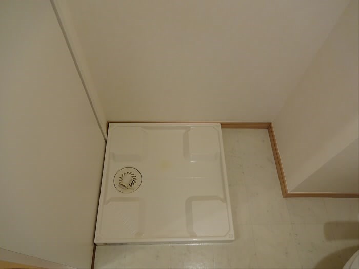 その他11