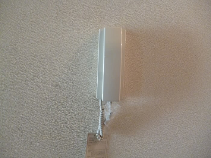 第１レジェンドチダ  その他6