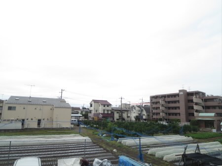 その他7