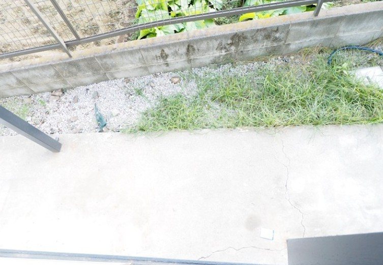 第一シミズハイツ ベランダ