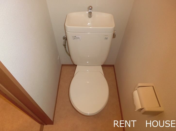 ダンデリオン その他3