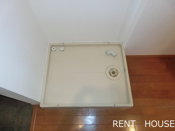 ダンデリオン その他5