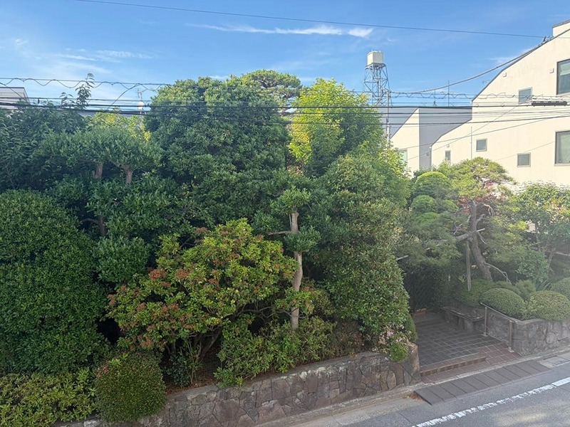 その他5