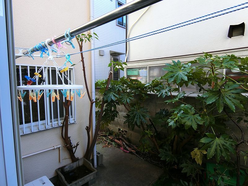 コーポメイプル　【東京外国語大学受験生事前予約可能物件】 ベランダ