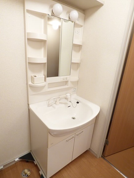 シルウィコーラ その他3