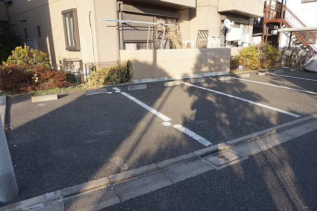 シルウィコーラ その他6