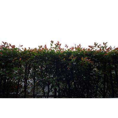 その他10