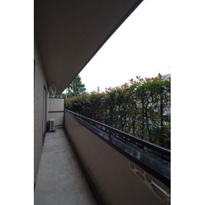 その他12