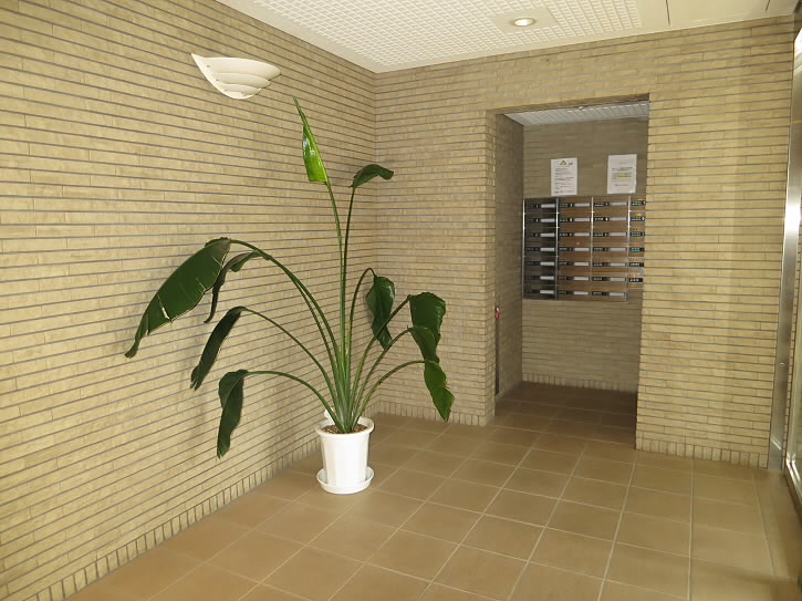 その他6
