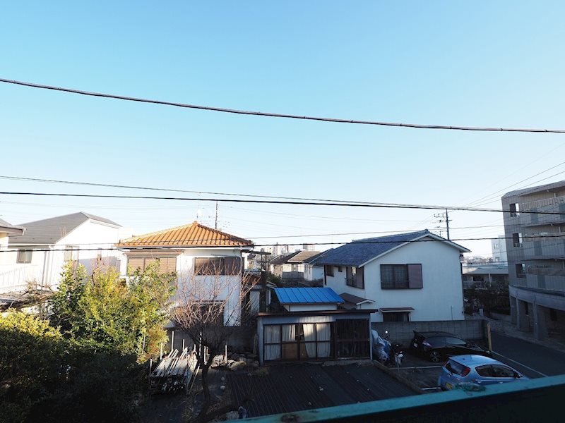 グリーンリーフ その他7