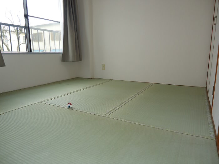 その他7
