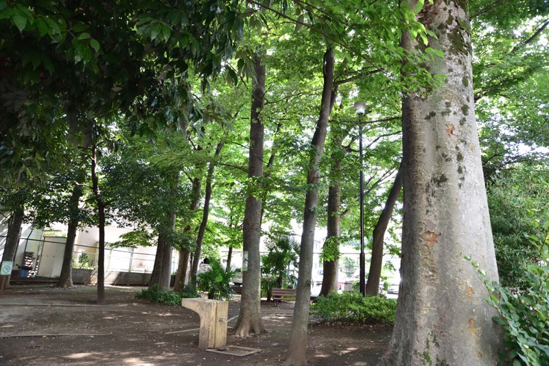東京都杉並区宮前２丁目 公園