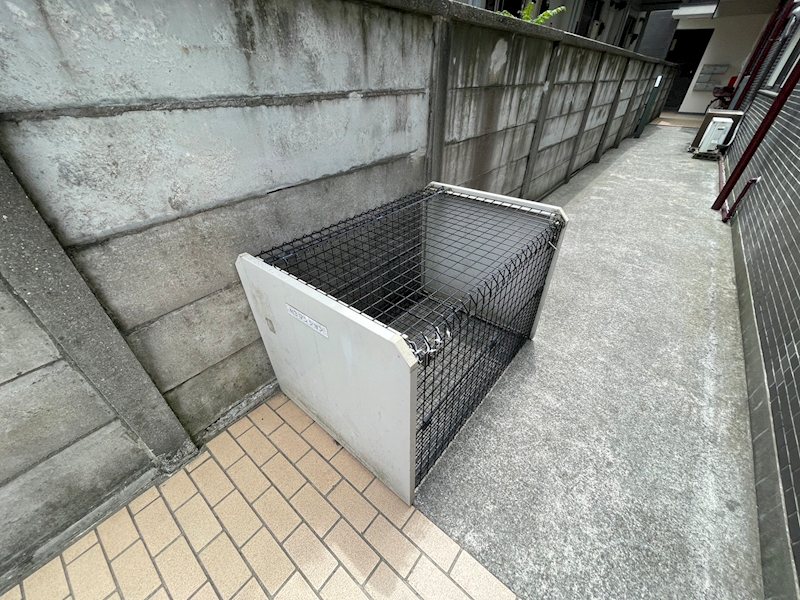 その他15
