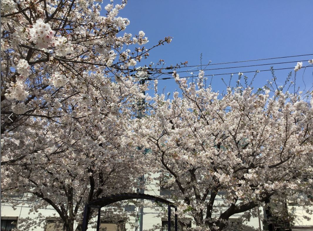 ブリリアイスト渋谷本町 周辺画像4