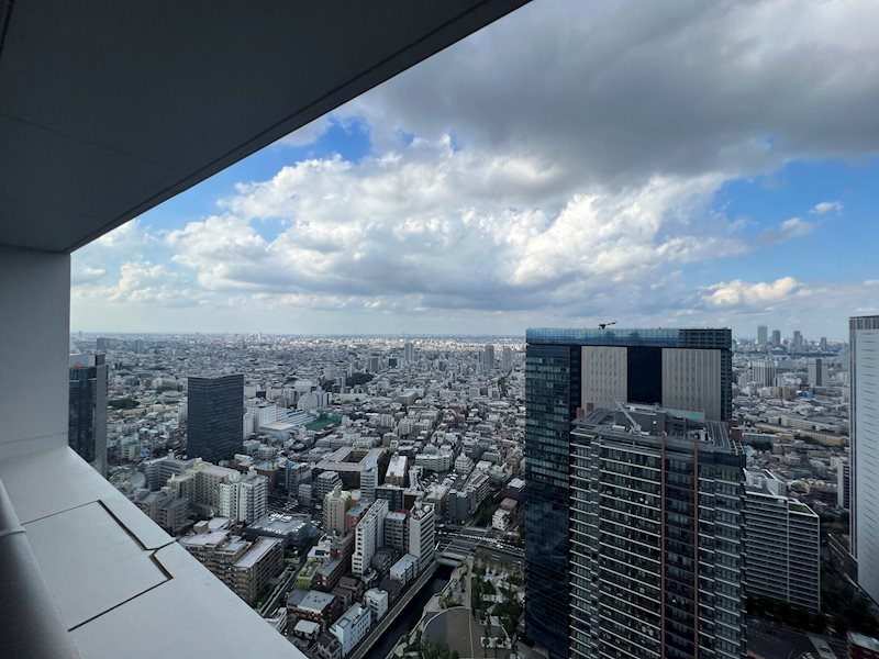 ザ・パークハウス西新宿タワー60 その他1