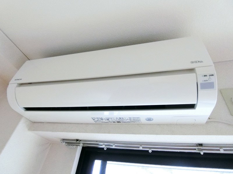 パレグレイス その他2