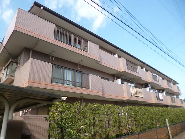 その他11